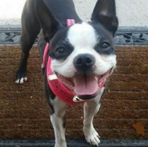 Meet your Posher, Trish